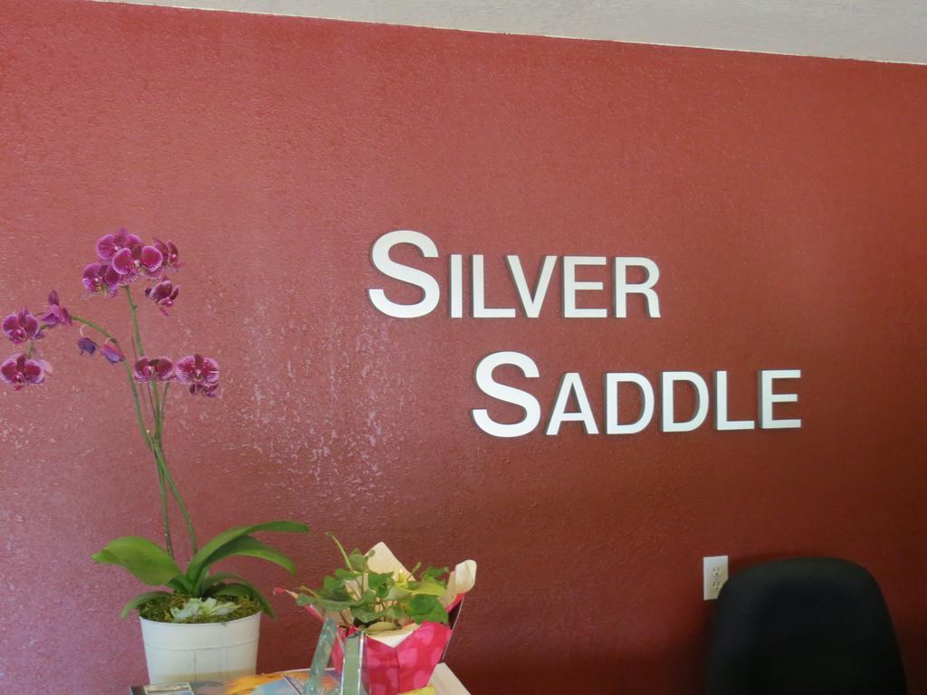 Silver Saddle Motel Manitou Springs Exterior foto